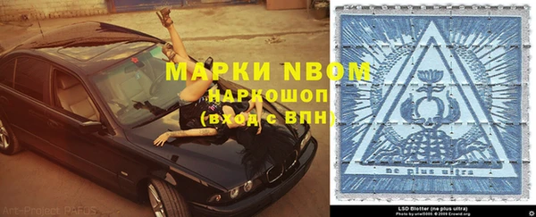 эйфоретик Баксан